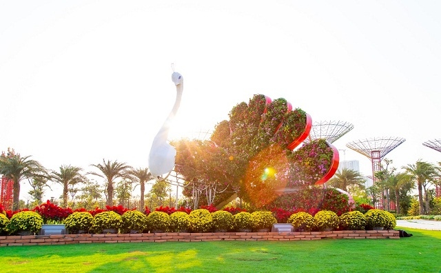 <p class="Normal">
<em>Tiểu cảnh chim công kiêu hãnh trong buổi sáng nắng vàng trời xanh.</em></p>