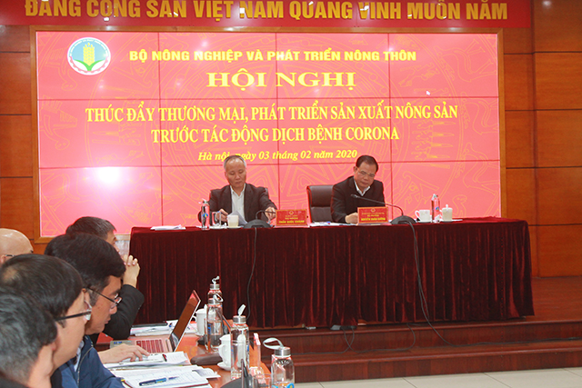 Gỡ khó cho trái cây qua các cửa khẩu Hữu Nghị, Tân Thanh