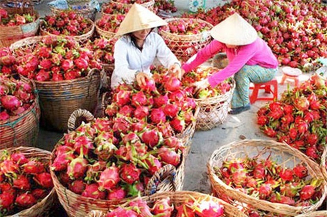 Nông nghiệp chịu tổn thất nặng nề do virus Corona
