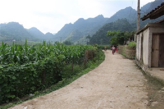 Chung tay bảo vệ môi trường