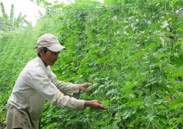 Sản xuất sạch, ngừa ô nhiễm