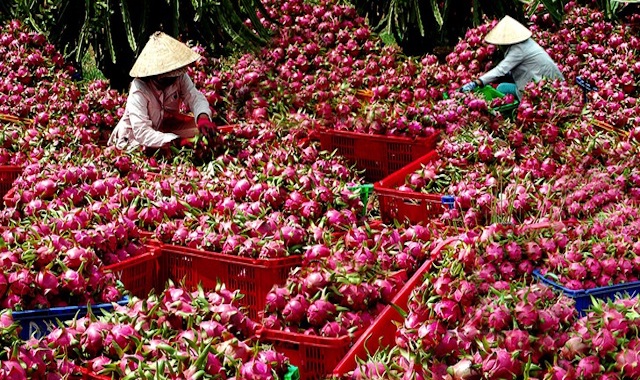 'Lỡ hẹn' mục tiêu xuất 120 tỷ USD vì dịch corona?