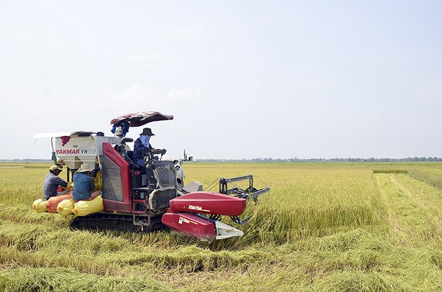 Nâng cao hiệu quả từ khoa học kỹ thuật