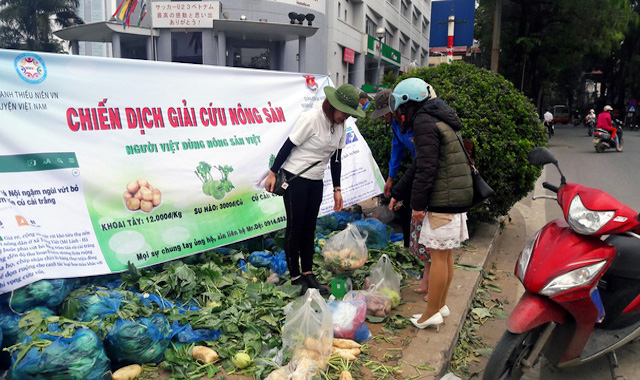 Không có dịch virus corona thì 1-2 tháng nữa vẫn phải giải cứu nông sản