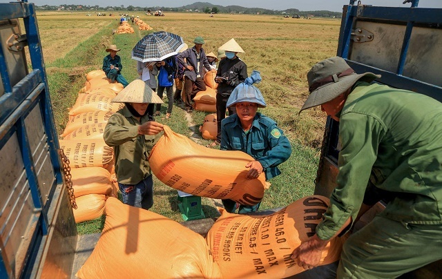 gao-Ngoc-Quang-6916-1581054991.jpg