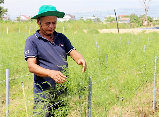 Ứng dụng công nghệ, đánh thức vùng đất cát