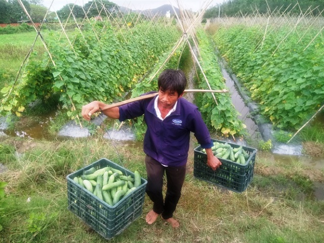 Chiếm lĩnh thị trường bằng các sản phẩm sạch