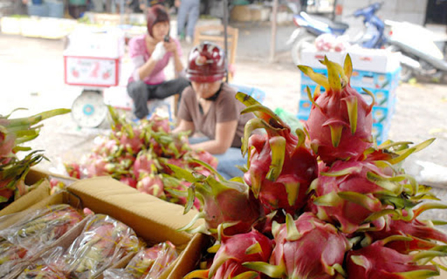 Sự trỗi dậy của nông sản mang thương hiệu HTX tại Bình Định