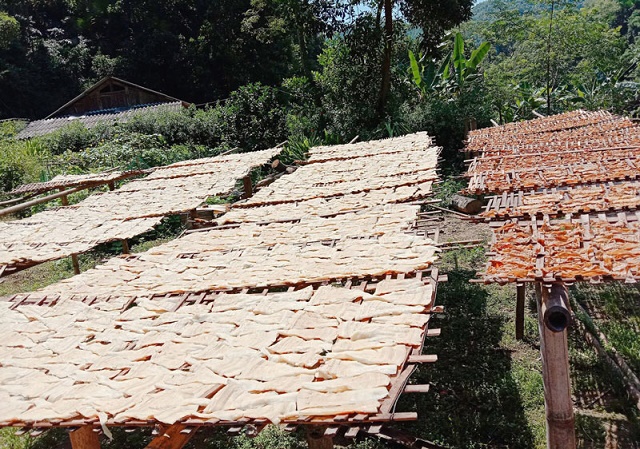 Chế biến măng thủ công để bảo đảm an toàn lao động