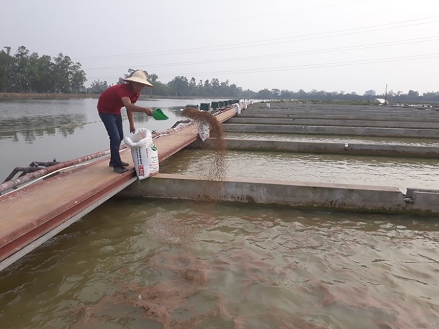 Mô hình nuôi trồng thủy sản mới sông trong ao ở xã Thanh Sơn
