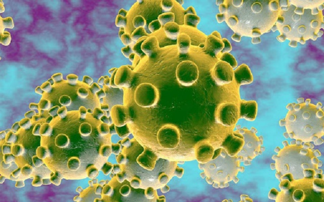 Việt Nam đã nuôi cấy và phân lập thành công virus nCOV