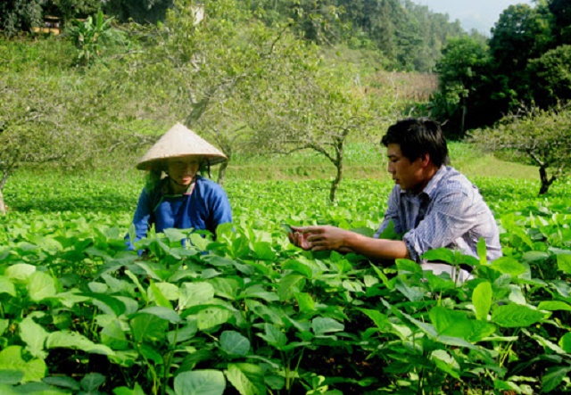 Giảm nghèo ở xã vùng biên Sơn Vĩ