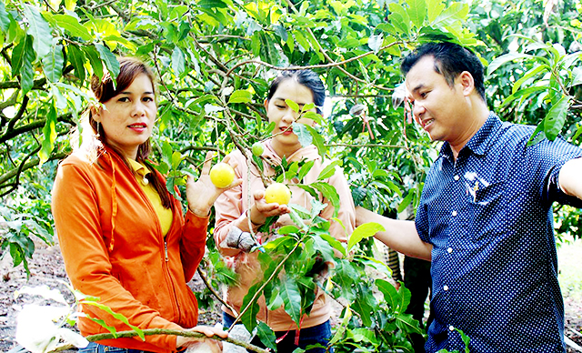Gắn sản xuất hiện đại với an toàn lao động