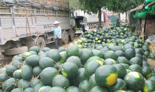 Xuất khẩu thanh long, dưa hấu tiếp tục gặp khó do lùi thời gian trao đổi hàng hóa biên giới
