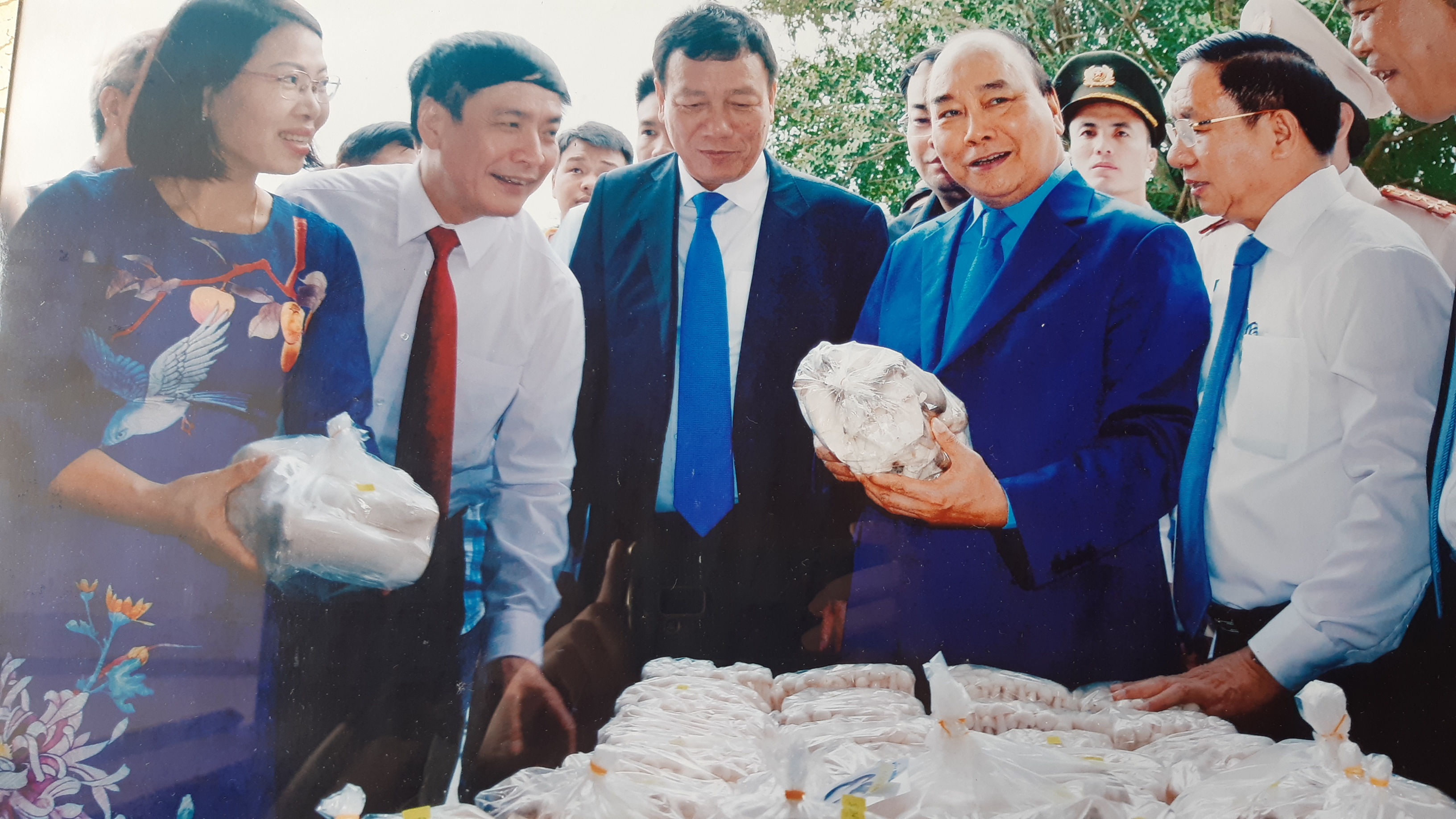 THT trồng nấm huyện Vĩnh Bảo: Điểm sáng trong 2.500 THT tại Hải Phòng