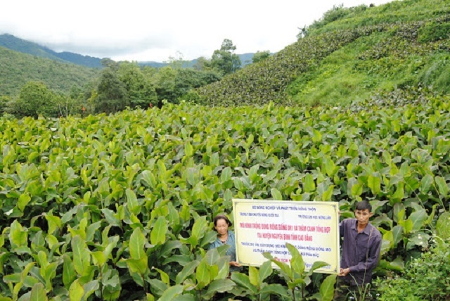 dong-rieng-9360-1581488858.jpg