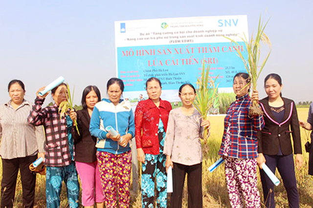 Thâm canh an toàn, nâng cao lợi ích