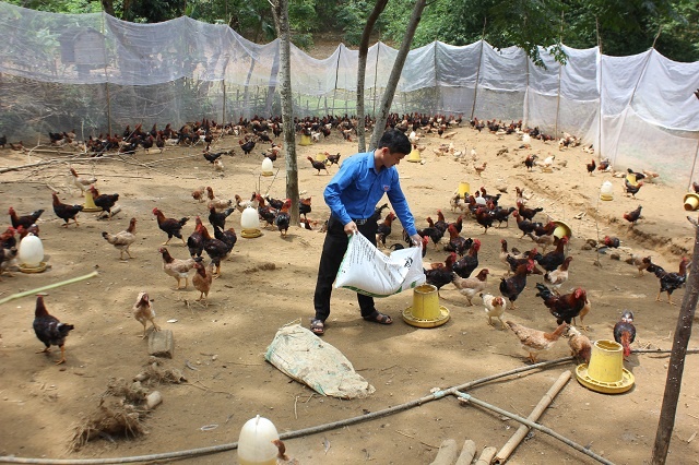 Ga-ri-Muong-2-JPG-3511-1581576998.jpg