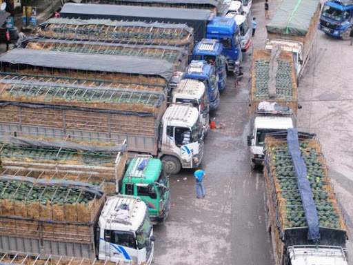 Hoàn thiện các kịch bản tăng trưởng theo các diễn biến tình hình dịch