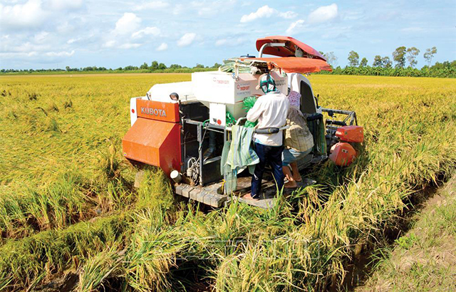 Bước ngoặt từ sản xuất khoa học, bảo vệ môi trường
