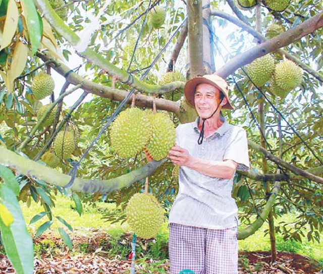 Sản phẩm cạnh tranh cao từ sản xuất sạch