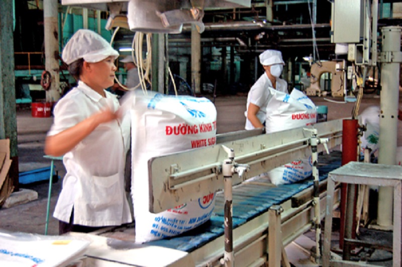 Sản xuất mía đường phải gắn với thị trường