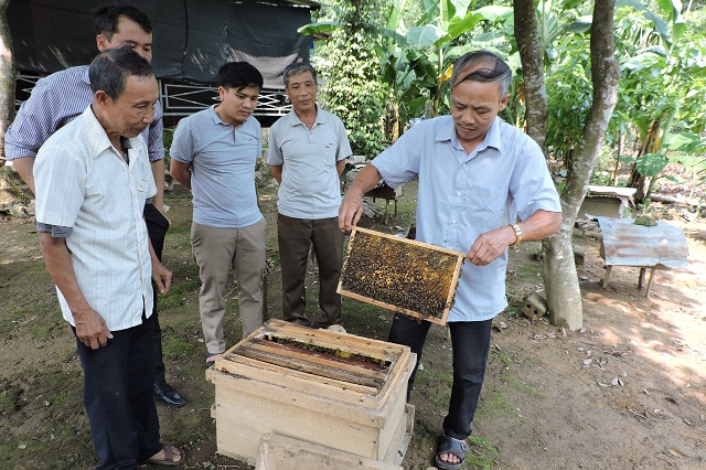 Mật ong Tuyên Hóa 'lên hương'