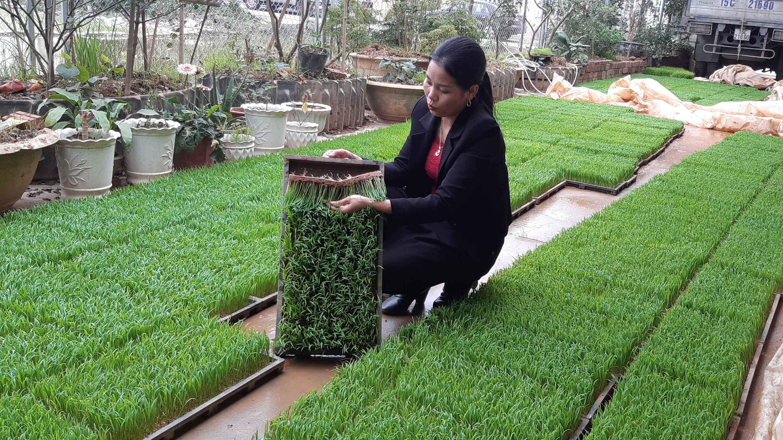 Hải Phòng hỗ trợ khu vực kinh tế hợp tác phát triển