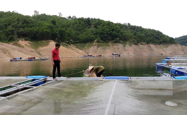Trái ngọt từ sản xuất bền vững