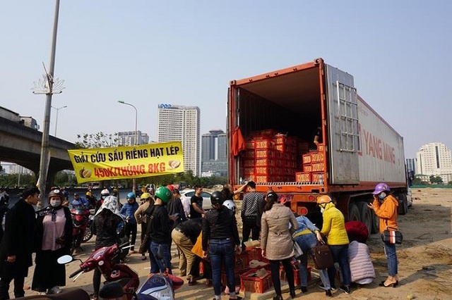 giai-cuu-sau-rieng-1592-1582712325.jpg
