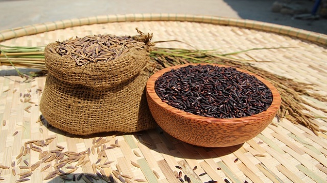 Xây dựng thương hiệu gạo đặc sản từ quy trình canh tác hoàn toàn sạch