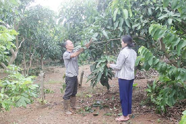 vuon-cay-khuyến mãi 789bet-qua-cua-HTX-5157-1584082984.