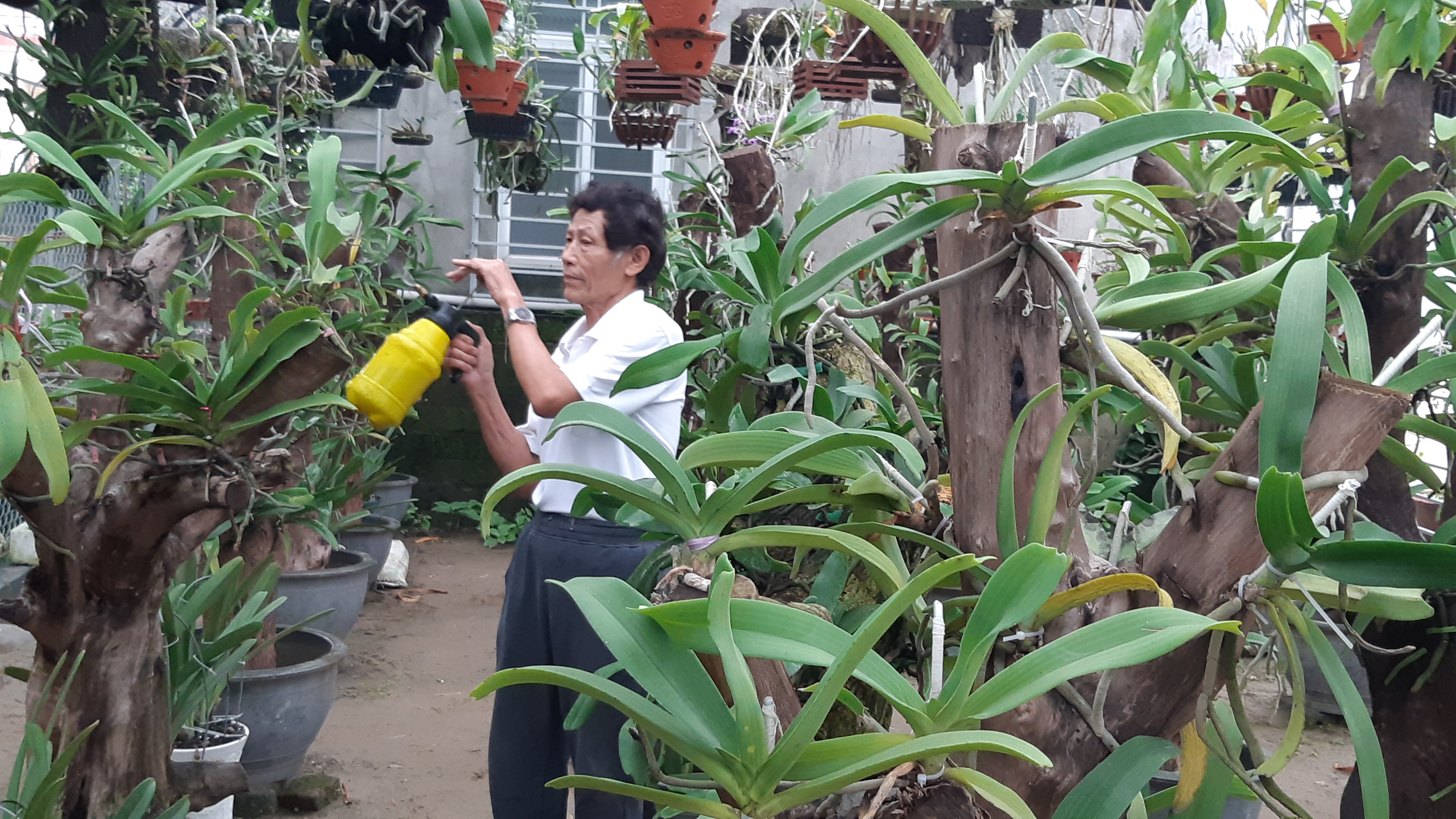 Đào tạo nguồn nhân lực cho HTX, chiến lược phát triển bền vững