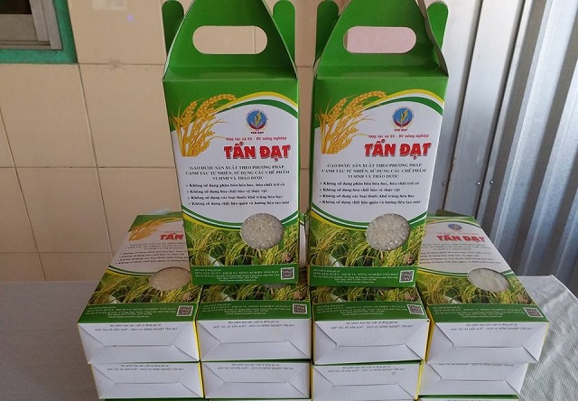 HTX Tấn Đạt: Nâng tầm thương hiệu, giảm thiểu ô nhiễm môi trường