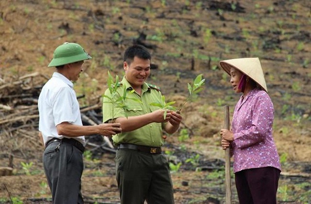 Giảm nghèo bền vững ở huyện vùng cao Sơn Động