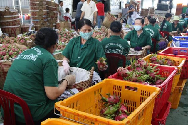 Trung Quốc tăng nhập, trợ lực để doanh nghiệp nông sản tăng tốc xuất khẩu