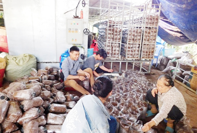 VN2-7838-1585122522.jpg