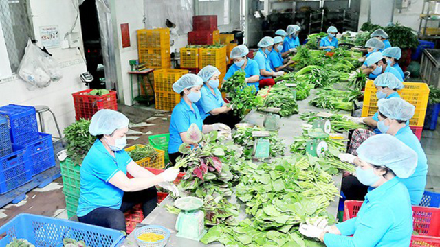Phát triển HTX nông nghiệp nhìn từ TP.HCM