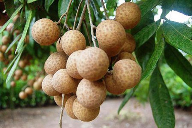 Áp dụng kỹ thuật, xây dựng kỹ năng để bảo đảm an toàn lao động