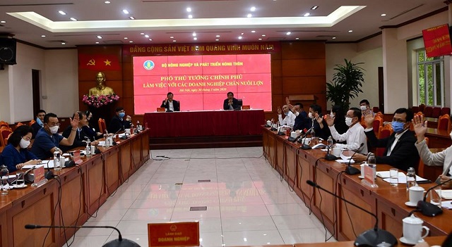 Doanh nghiệp chăn nuôi lớn cam kết hạ giá bán lợn hơi