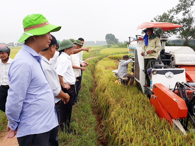 Triệu Trạch thúc đẩy sản xuất, hướng tới nông thôn mới kiểu mẫu
