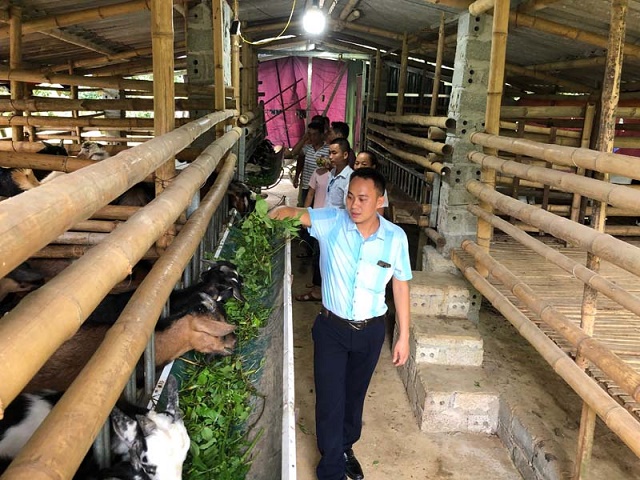 Môi trường hưởng lợi từ chăn nuôi dê sạch