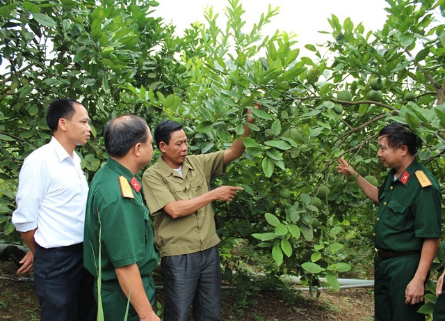 Cựu chiến binh giúp nhau thoát nghèo