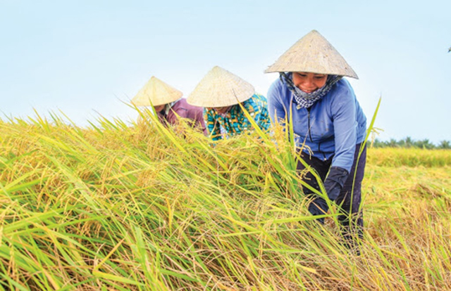 Điểm tựa xây dựng nông thôn mới ở Trung Ngãi