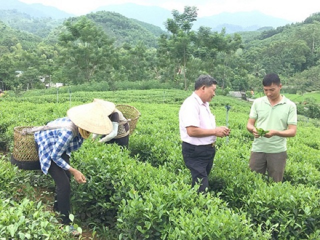 Nguồn vốn tín dụng đưa Tân Sơn thoát nghèo