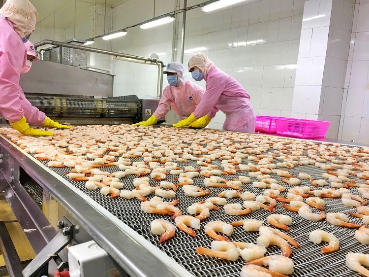 Triển khai các thủ tục phê chuẩn Hiệp định EVFTA