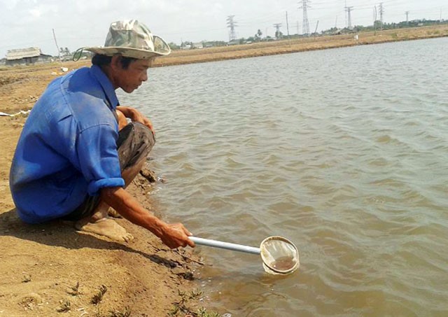 HTX nuôi 'con xóa đói giảm nghèo'