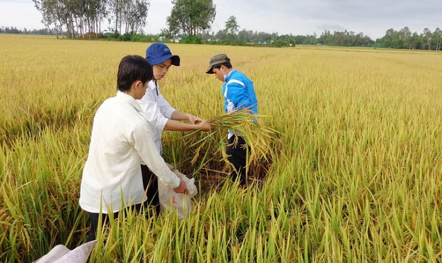 HTX An Bình đổi mới thành hình mẫu trong kinh tế hợp tác