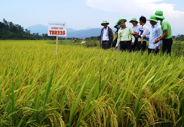 Hướng đi mới trong sản xuất nông nghiệp tại Tịnh Bắc
