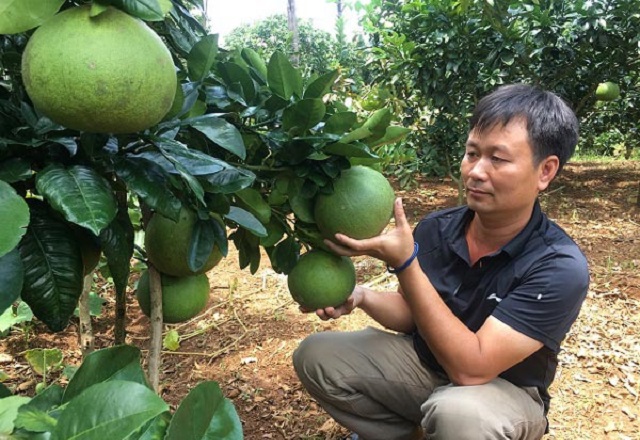 Động lực giảm nghèo ở Bù Đốp